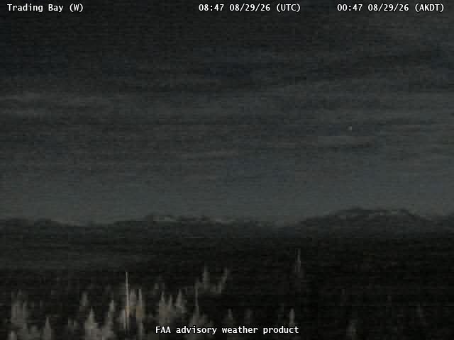 Trading Bay — West live camera view