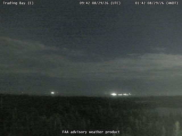 Trading Bay — East live camera view