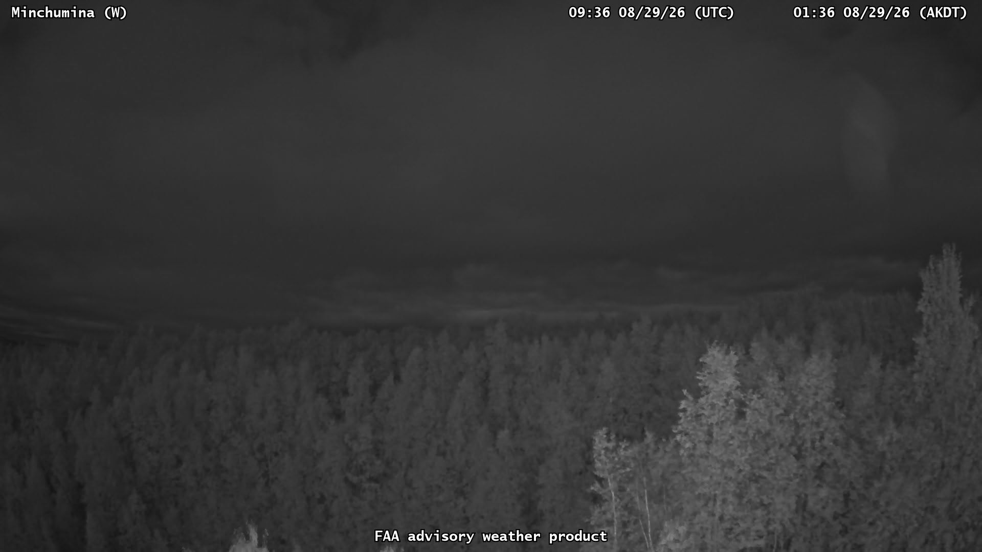 Minchumina — West live camera view
