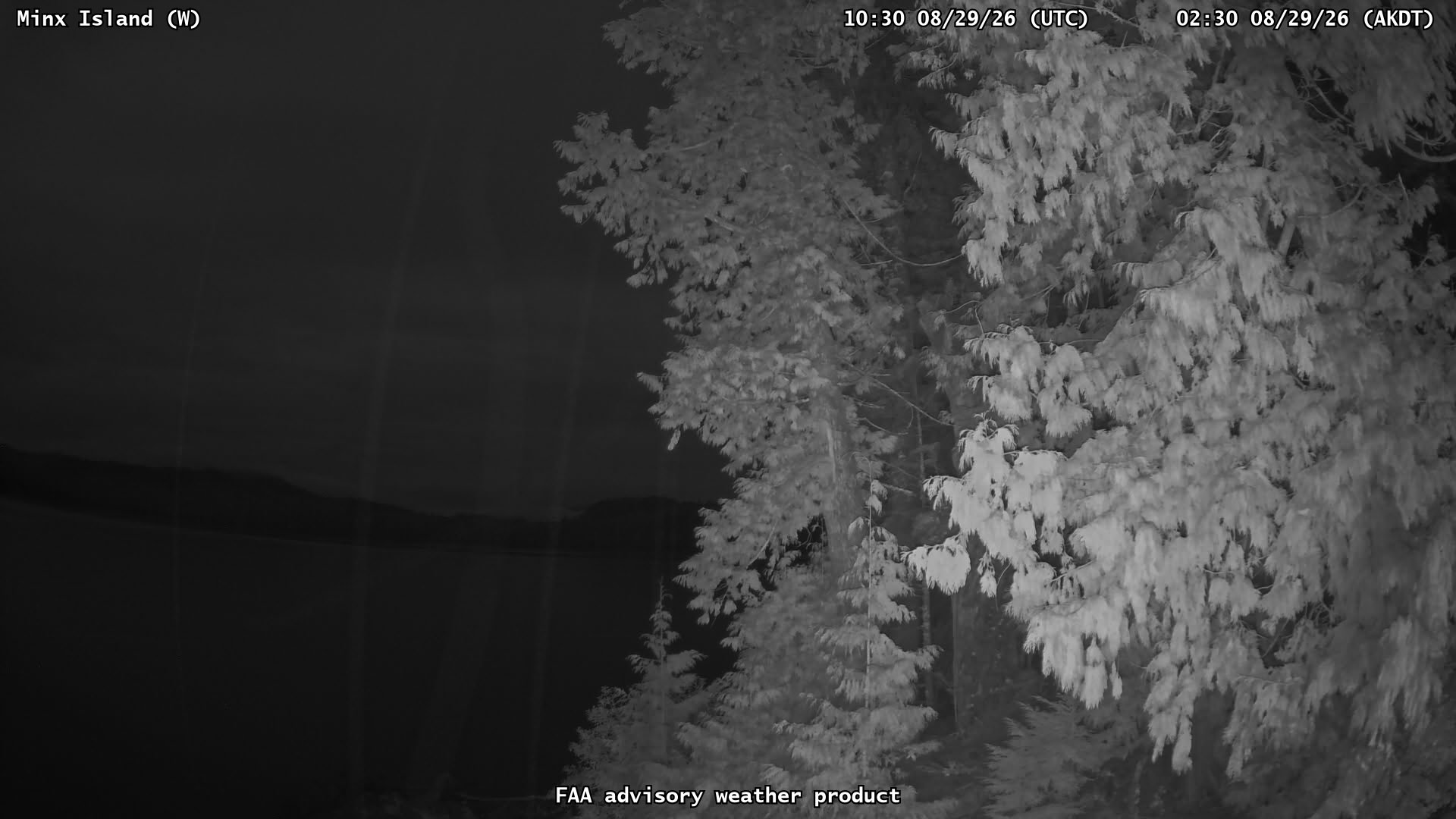 Minx Island — West live camera view