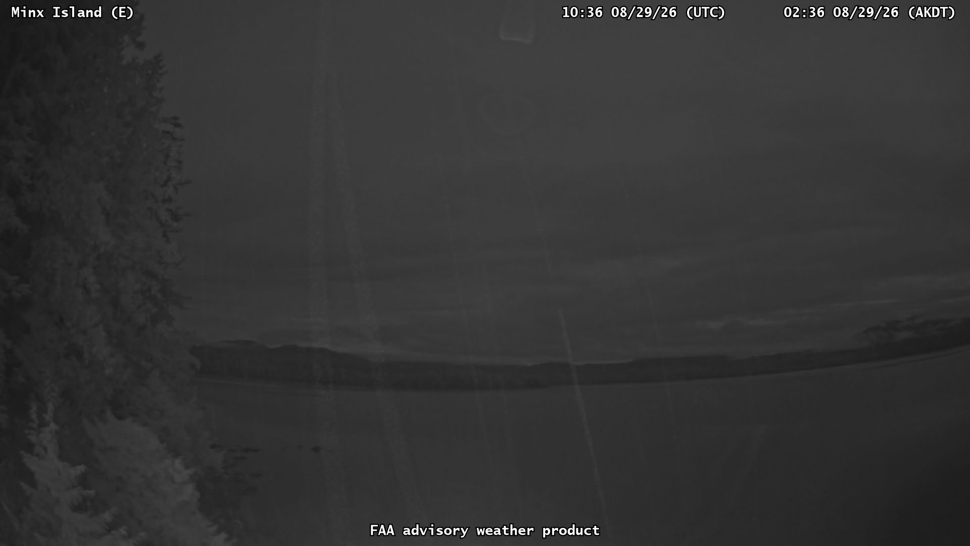 Minx Island — East live camera view