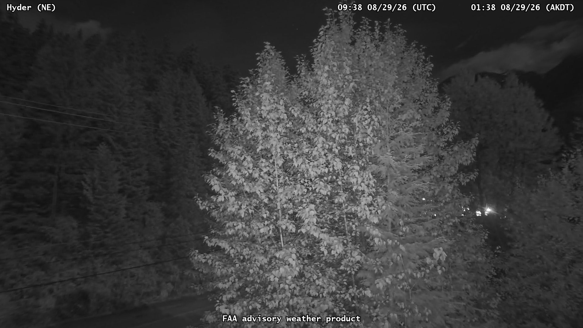 Hyder — NorthEast live camera view