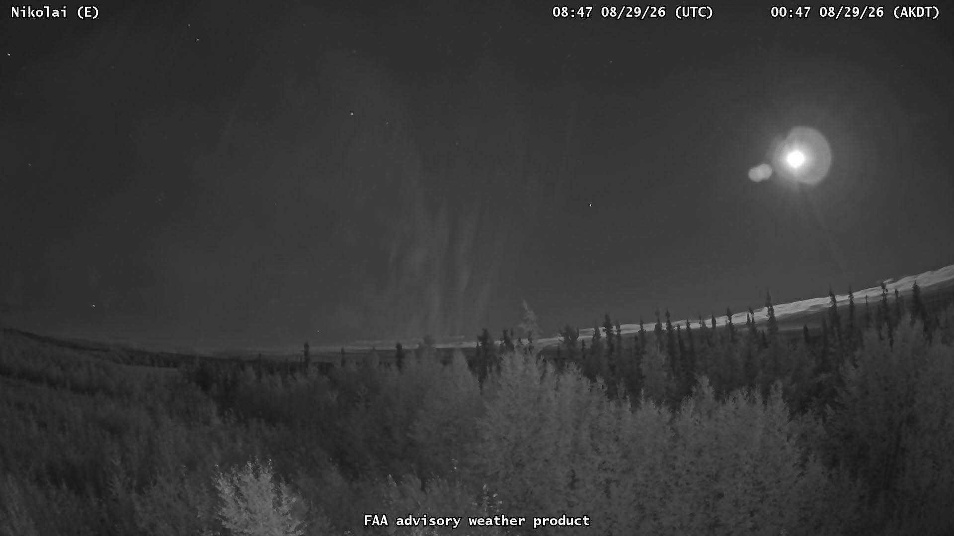 Nikolai — East live camera view