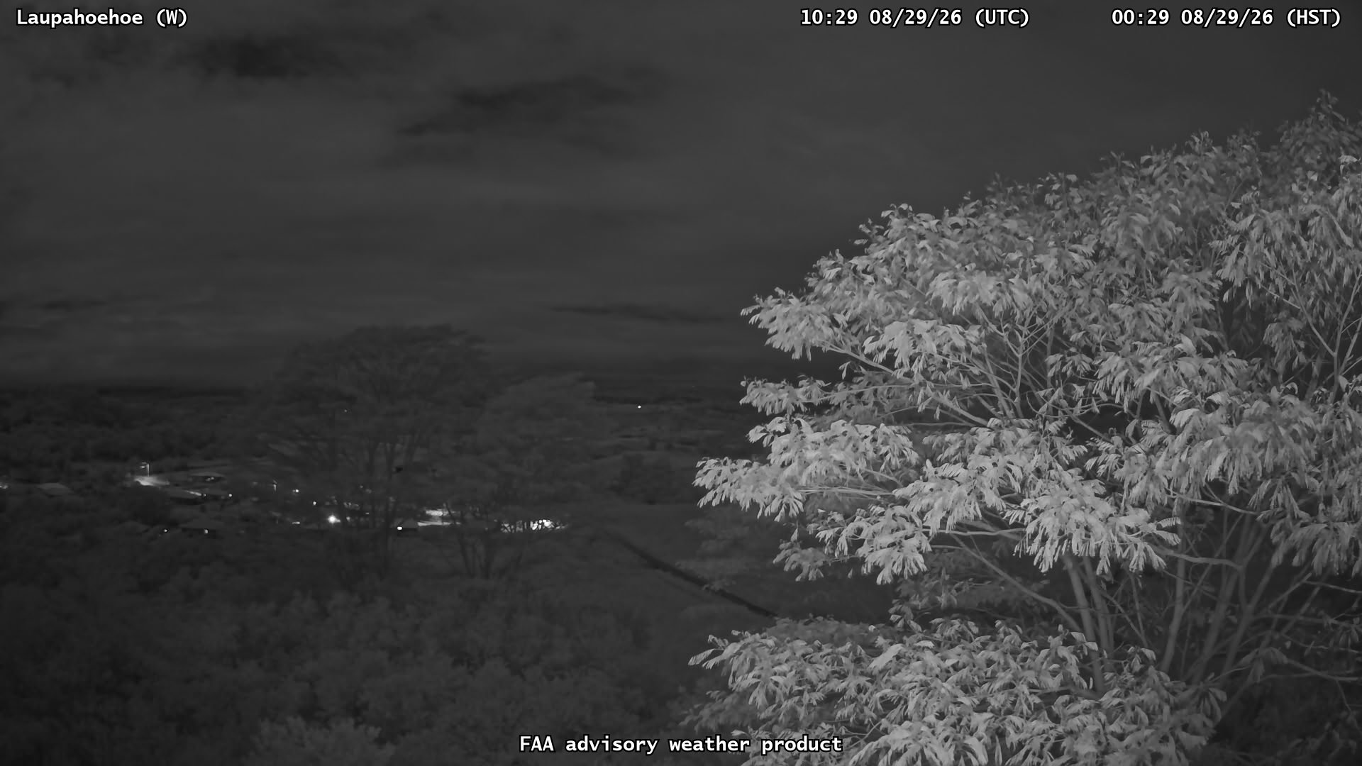 Laupahoehoe — West live camera view