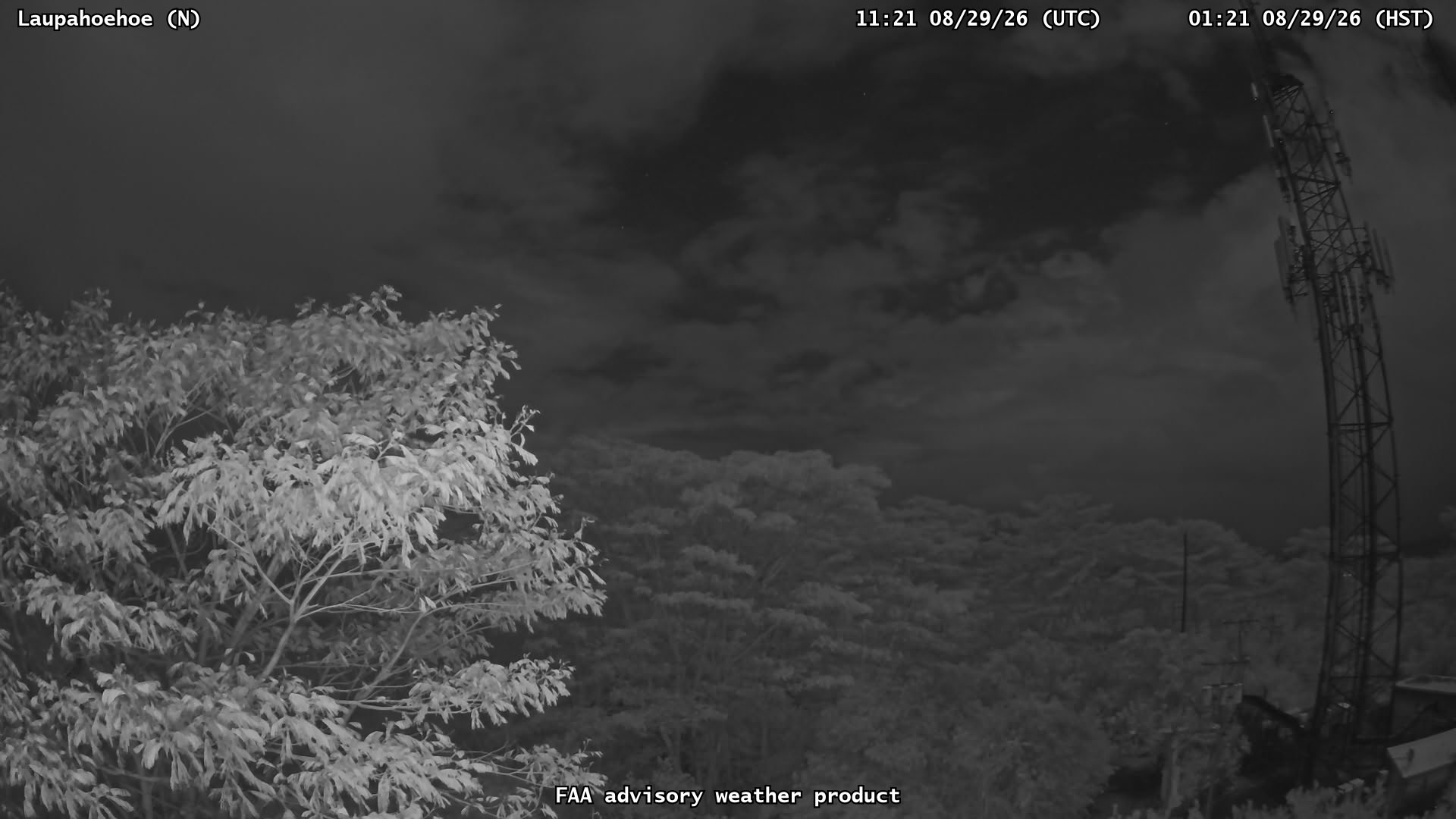 Laupahoehoe — North live camera view