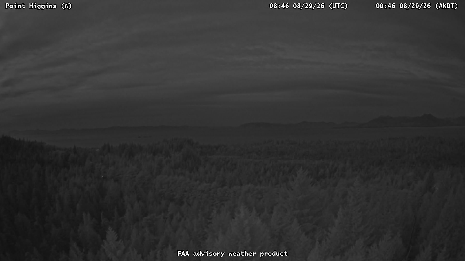 Point Higgins — West live camera view