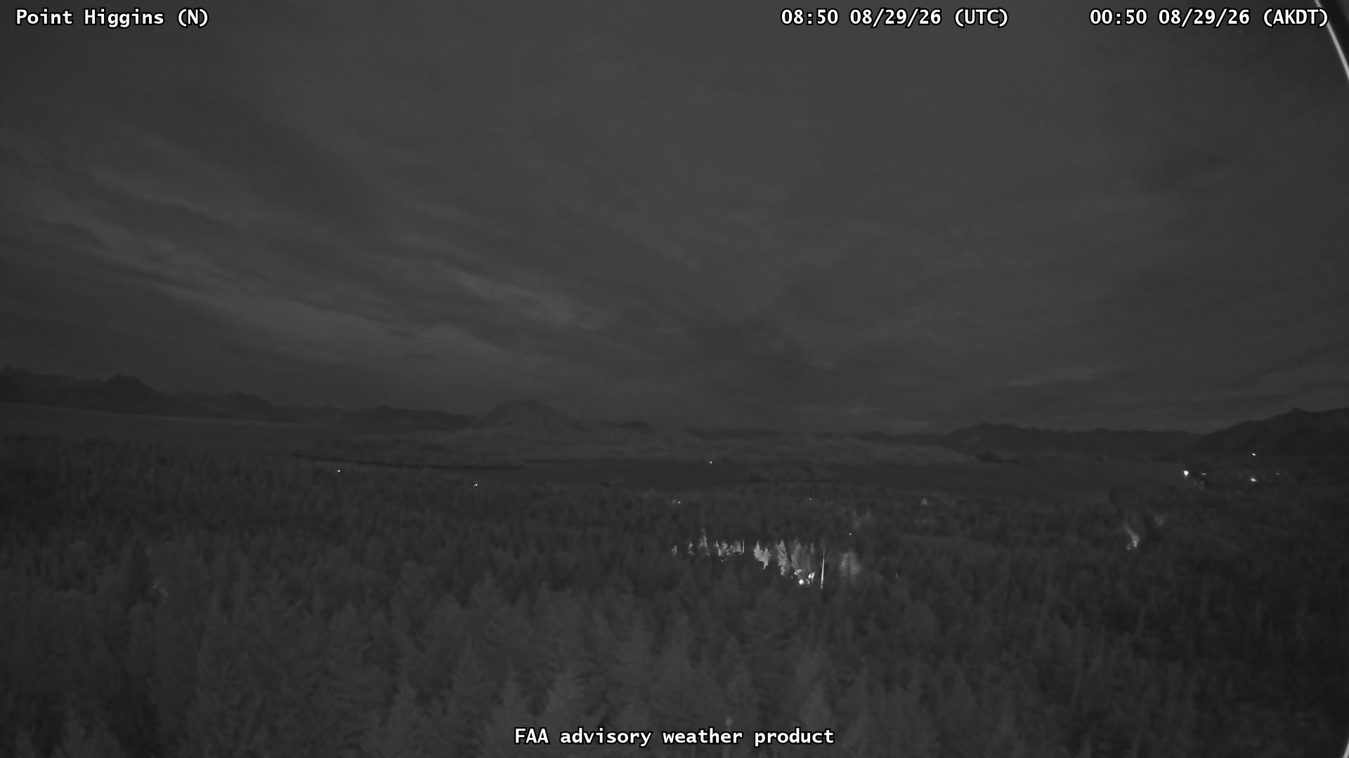 Point Higgins — North live camera view