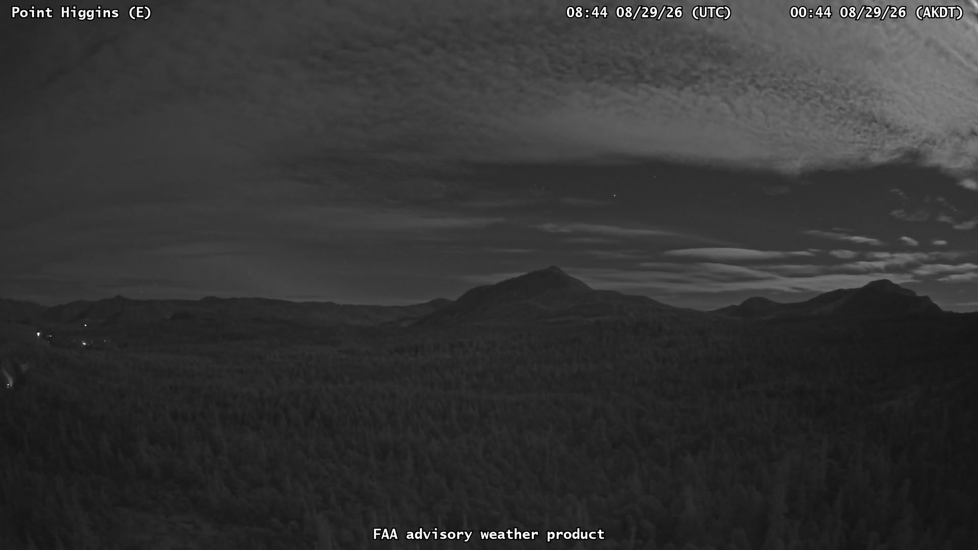 Point Higgins — East live camera view