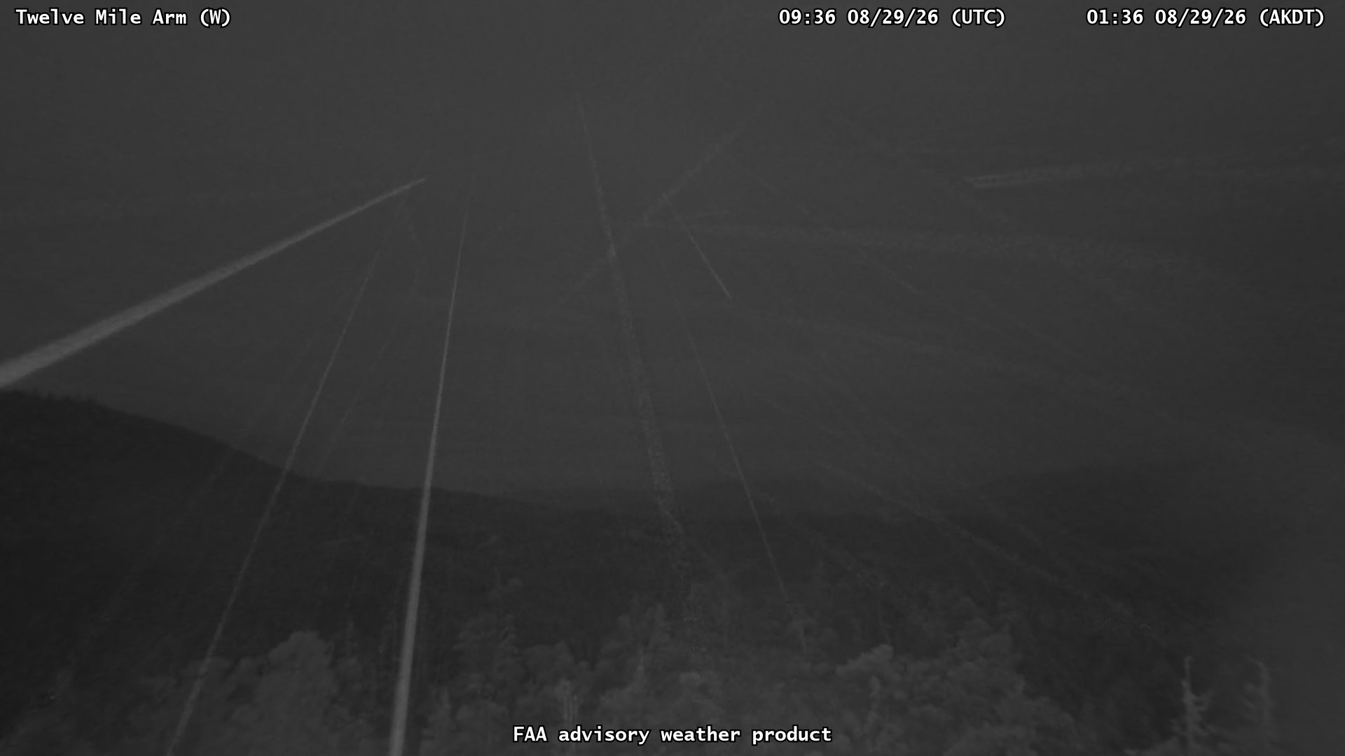 Twelve Mile Arm — West live camera view