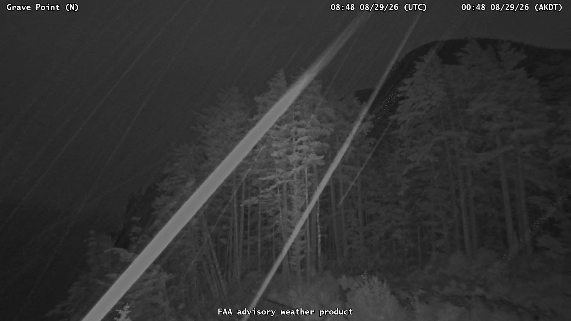 Grave Point — North live camera view
