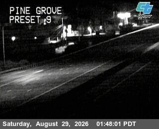 Pine Grove live camera view