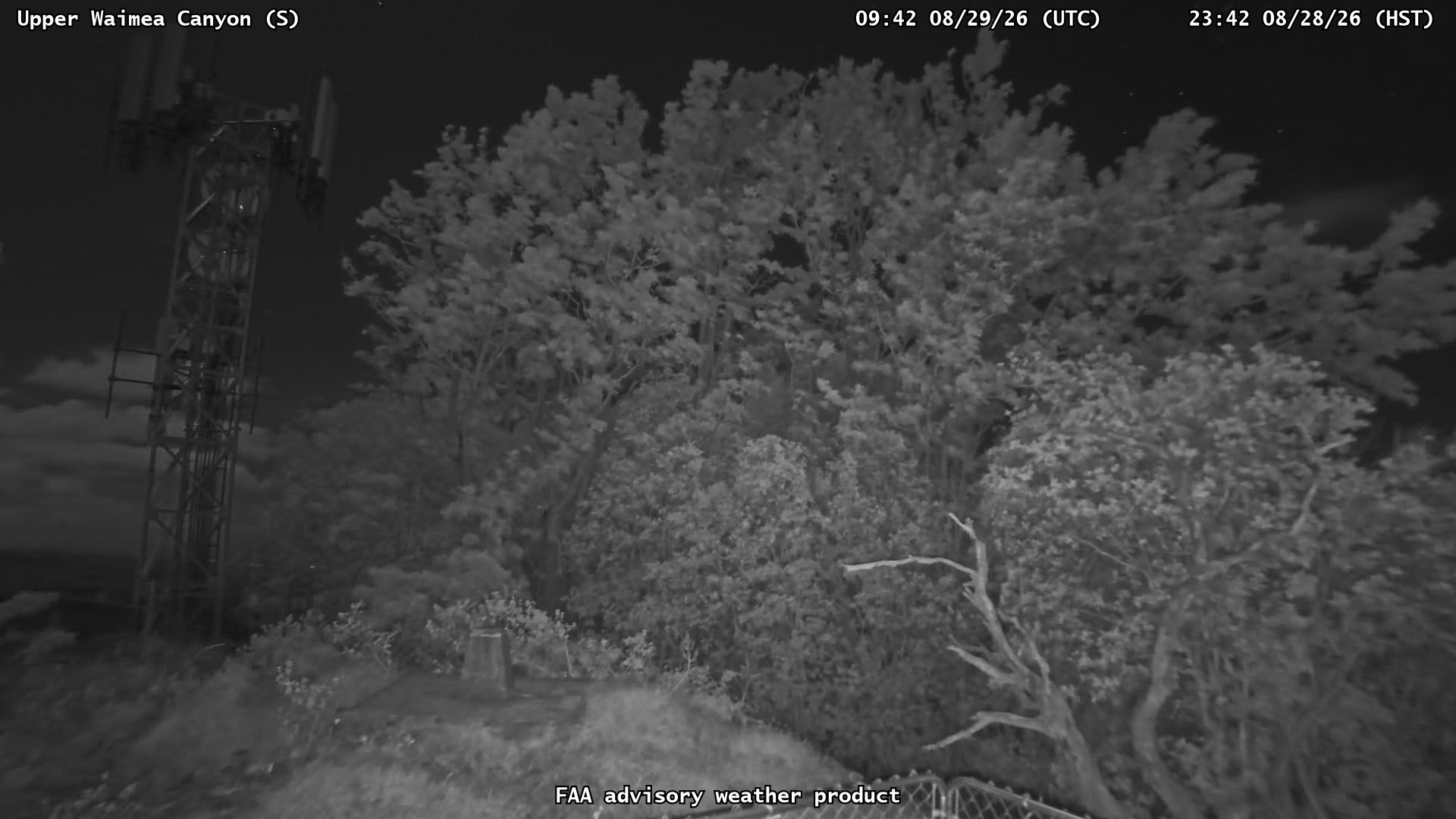 Upper Waimea Canyon — South live camera view
