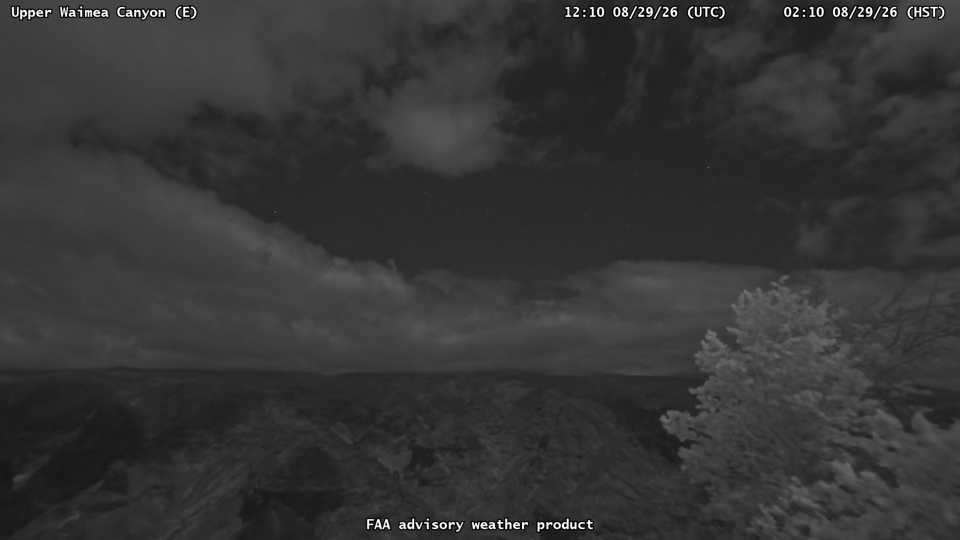Upper Waimea Canyon — East live camera view