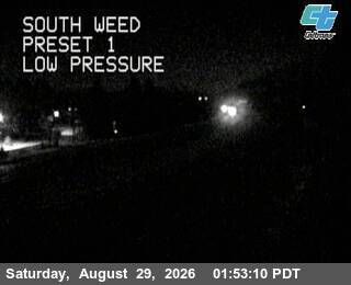 South Weed live camera view