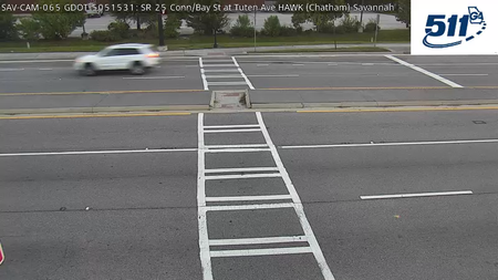 Bay St at Tuten Ave (Hawk) live camera view
