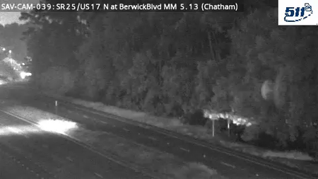 SR 25/Ogeechee Rd at Berwick Blvd live camera view