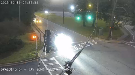 Spalding Dr at Jay Bird Alley live camera view
