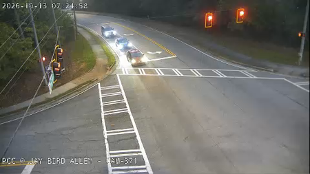 Peachtree Corners Cir at Jay Bird Alley live camera view