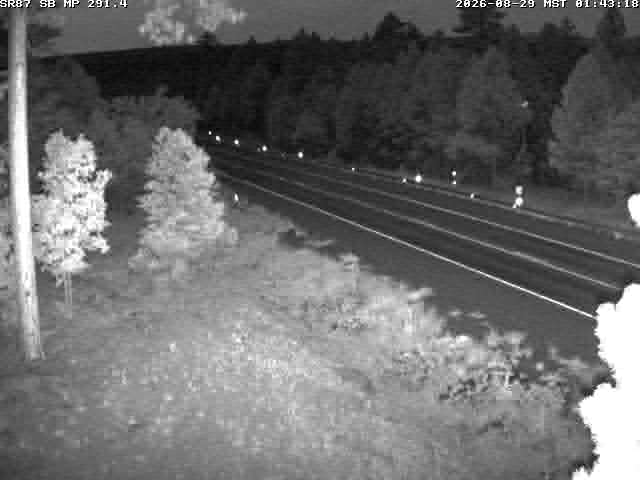 SR-87 @ 291.36 live camera view