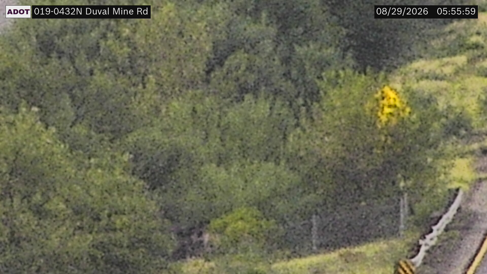 I-19 @Duval Mine Rd live camera view
