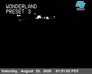 Wonderland live camera view