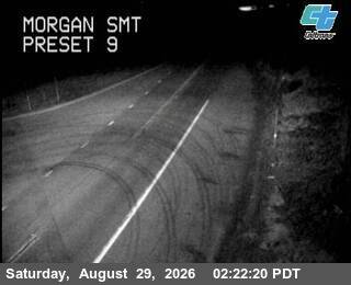 Morgan Smt live camera view