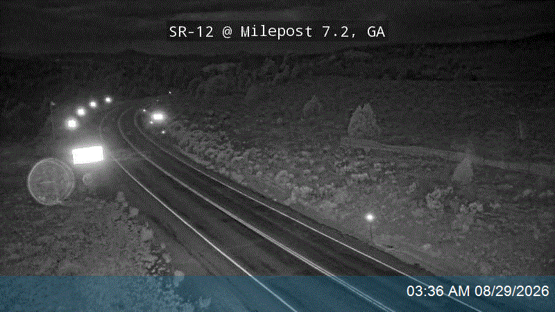 SR-12 @ Milepost 7.25, GA live camera view