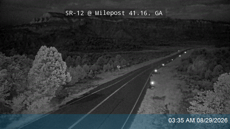 SR-12 @ Milepost 41.16, GA live camera view