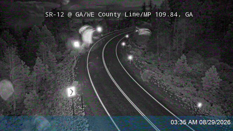 SR-12 @ GA/WE County Line / MP 109.84, GA live camera view