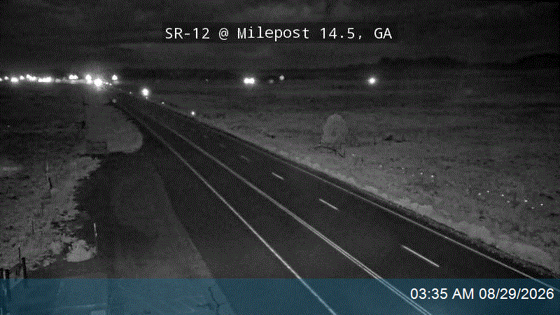 SR-12 @ Milepost 14.5, GA live camera view
