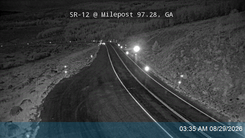 SR-12 @ Milepost 97.28, GA live camera view