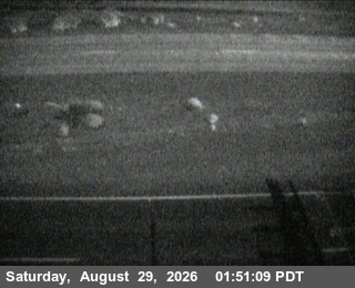 131 - EB SR 132 Bird Rd live camera view