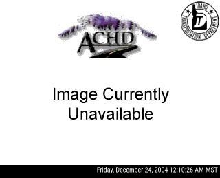 I-84 McDermott Rd live camera view