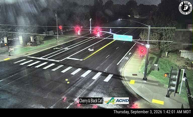 Cherry & Black Cat live camera view