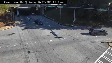 N Peachtree Rd at Savoy Dr live camera view