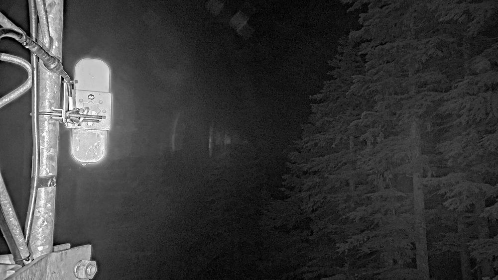 #68 Mt. Roberts Tram Terminal Weather Station (1,736 ft) live camera view