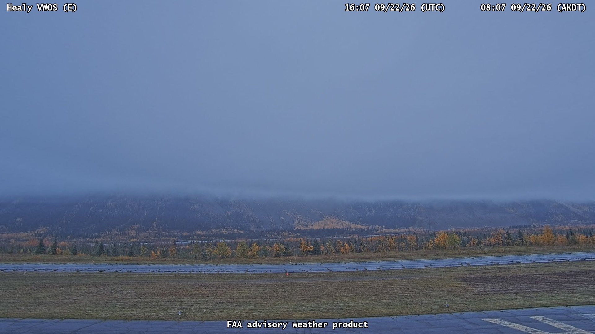 Healy VWOS — East live camera view