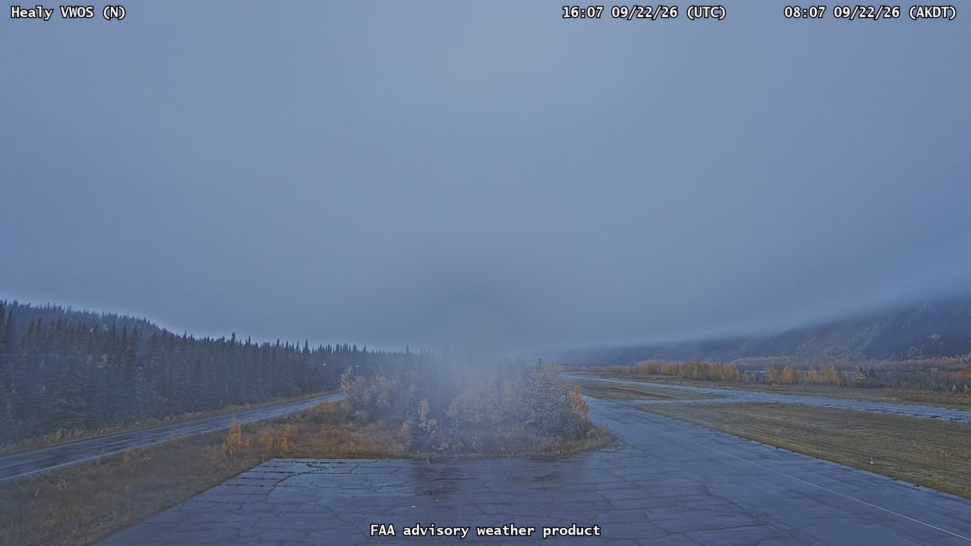 Healy VWOS — North live camera view