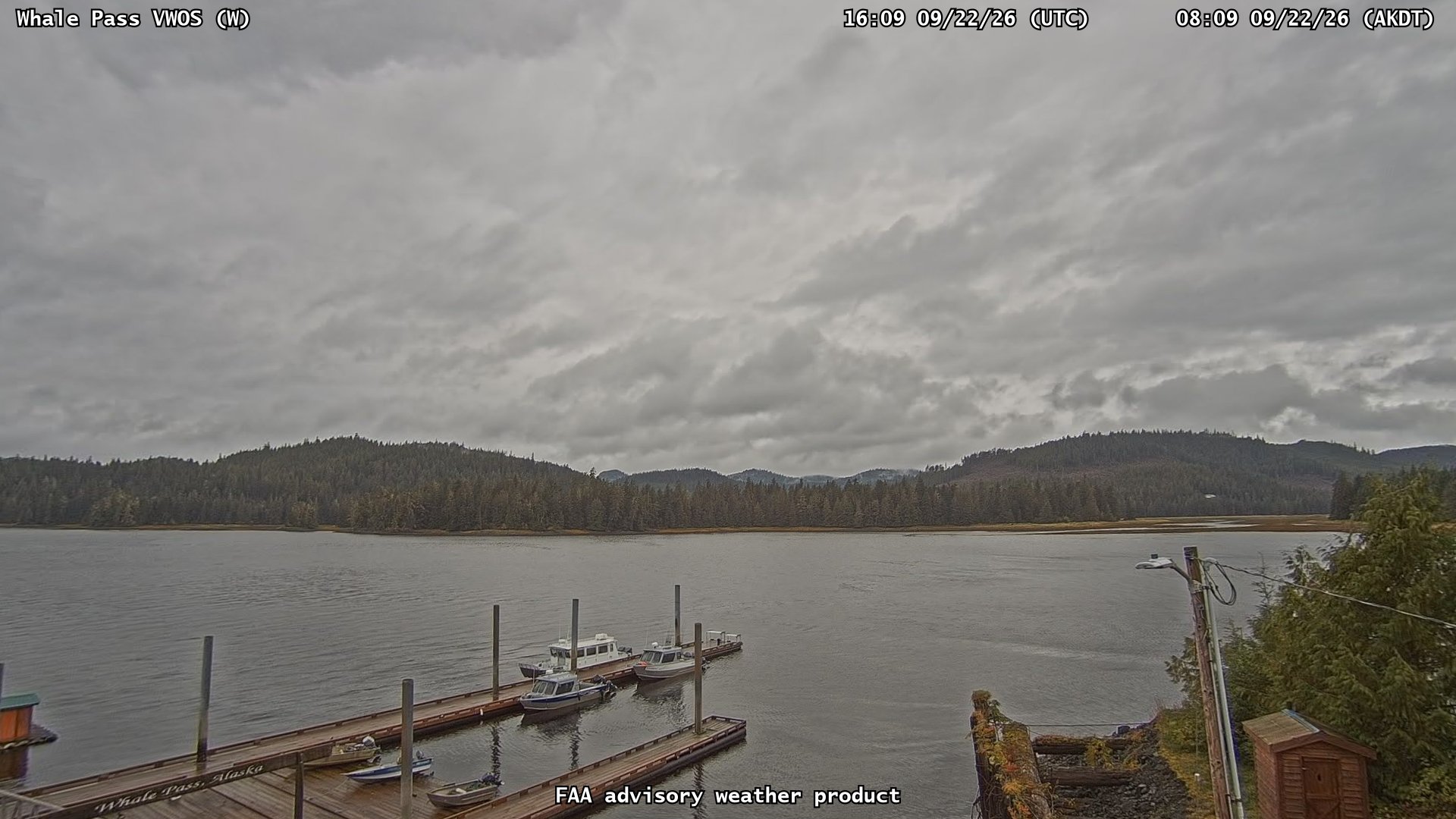 Whale Pass VWOS — West live camera view