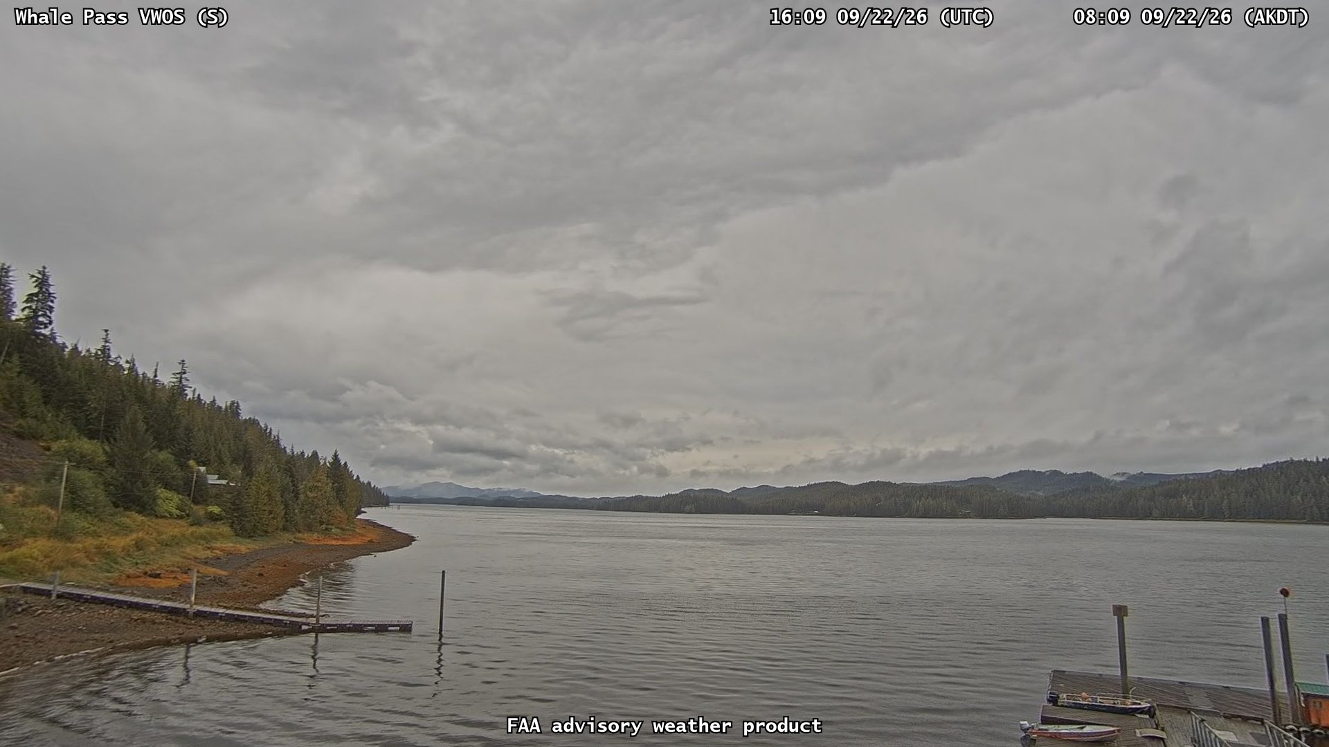 Whale Pass VWOS — South live camera view