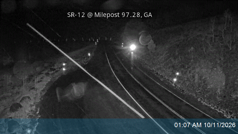 SR-12 @ Milepost 97.28, GA live camera view