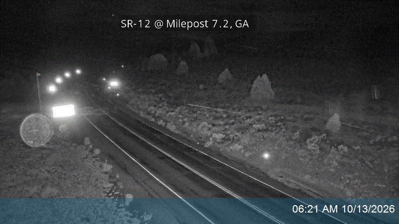 SR-12 @ Milepost 7.25, GA live camera view