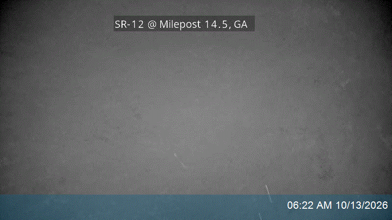 SR-12 @ Milepost 14.5, GA live camera view
