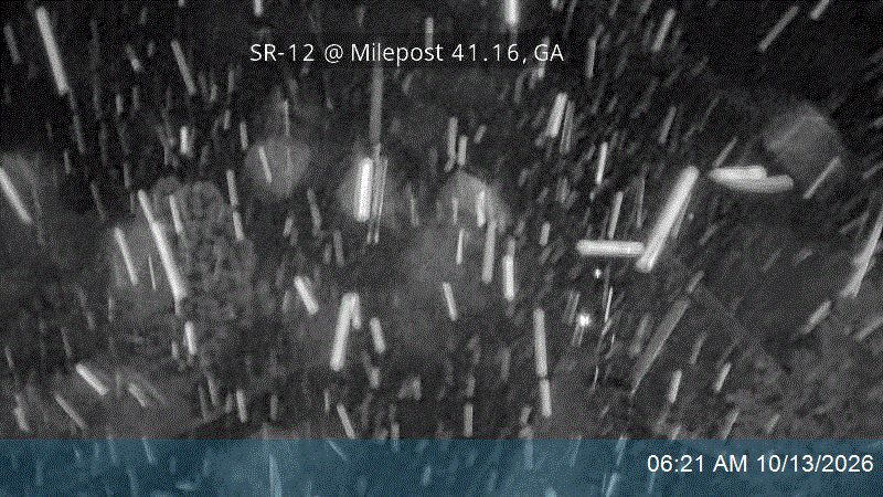 SR-12 @ Milepost 41.16, GA live camera view