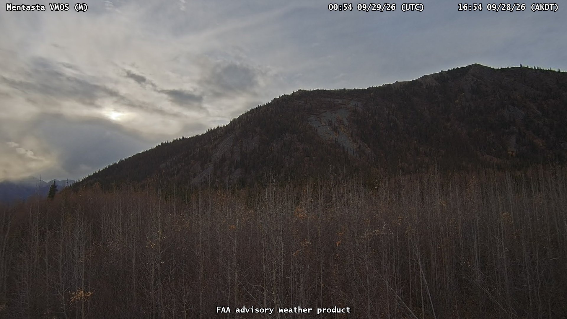 Mentasta VWOS — West live camera view