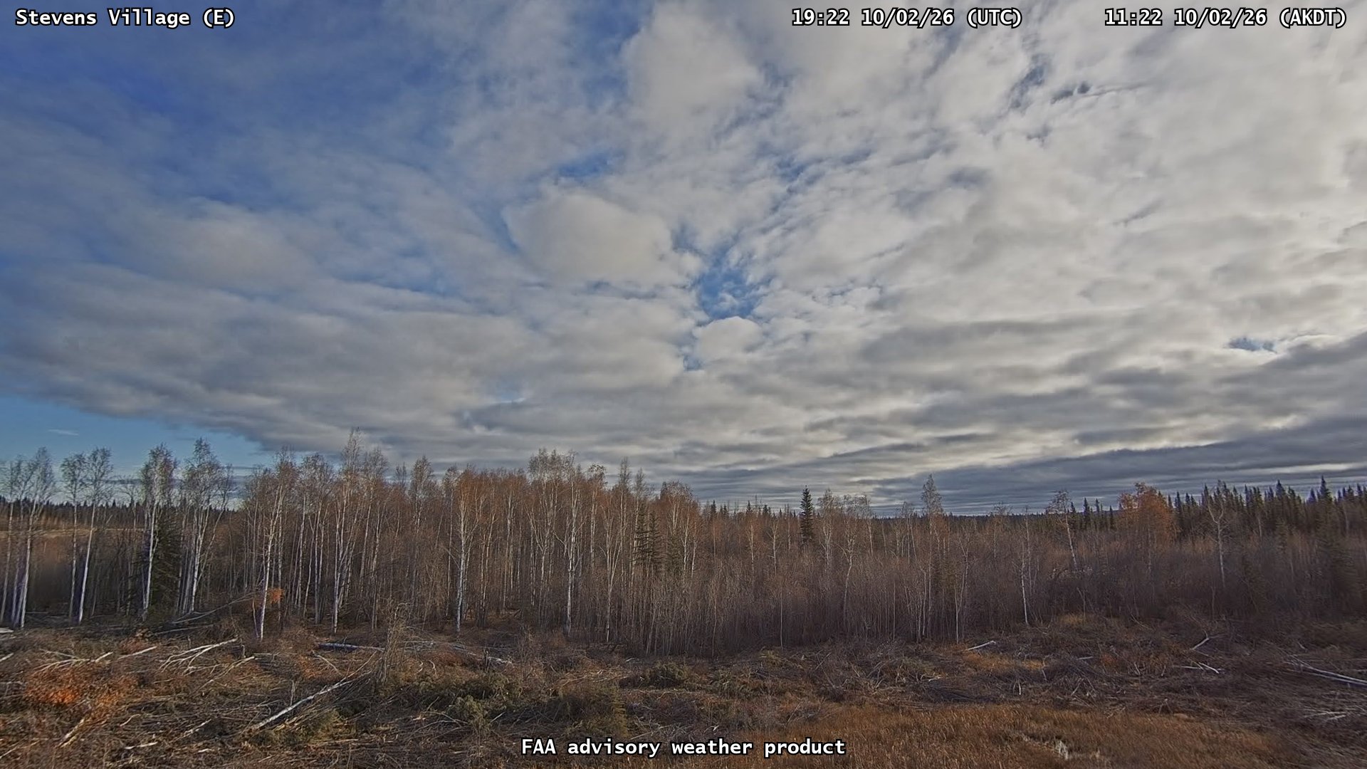 Stevens Village — East live camera view
