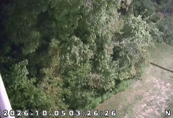 I-64 EB @ Black River rest area (Camera 3) live camera view