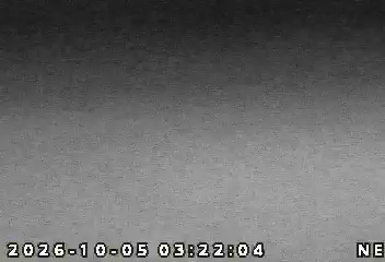 US41 @ Indpls Blvd live camera view