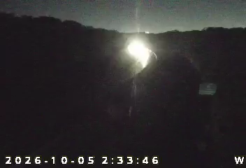 I-94 WAVERLY RD (Camera 2) live camera view