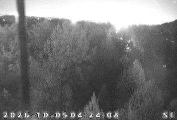 I-64/122.0 E OF I-265/CAPTAIN FRANK RD (Camera 1) live camera view
